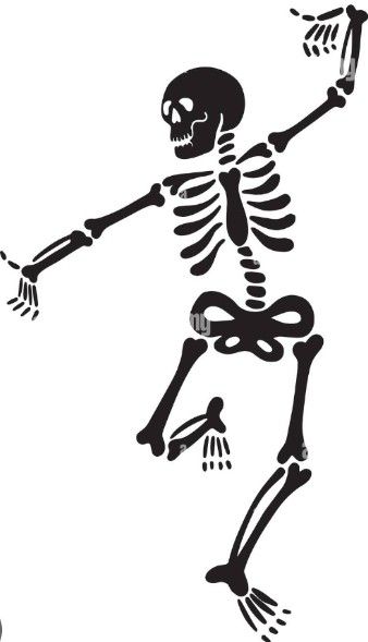 Simple Skeleton Drawing, Halloween Skeleton Drawing, Skeleton Doodle, Pumpkin Face Templates, Skeleton Silhouette, Unique Halloween Decorations, Skeleton Drawings, Damask Stencil, Halloween Figures