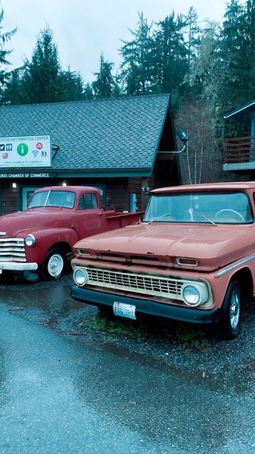 Forks Town Aesthetic, Twilight Desired Reality, La Push Aesthetic, Fork Washington, Forks Washington Twilight Aesthetic, Washington Forks, Twilight Trip, Twilight Forks, Forks Washington Twilight