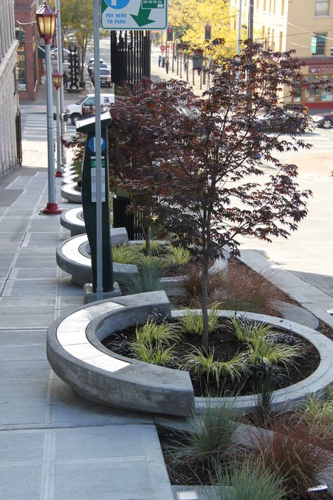 Streetscape Design, Landscape And Urbanism Architecture, Side Walk, نباتات منزلية, Urban Landscape Design, Landscape And Urbanism, Green Street, Landscape Architecture Design, Urban Furniture