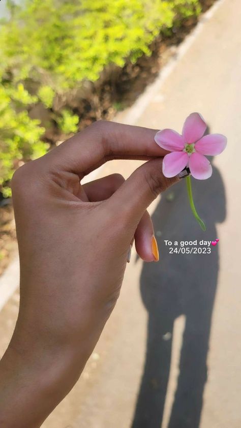 Flower Photo Captions Instagram, Pink Flower Captions, Asthetic Caption For Self Picture, Pics With Flowers Picture Ideas, Flower Snap Ideas, Asthetic Caption For Insta Post Pictures, Hand Captions, Random Snap Ideas, Flower Poses Photo Ideas