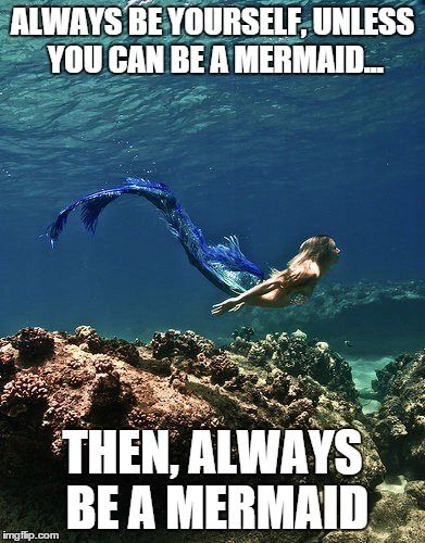 How to "Be Yourself" According to 8 Memes and a Journal – EpicPew Sirens Mythology, Mermaids Sirens, Bale Dance, Mermaid Book, Pearl Mermaid, Mermaid Ideas, Mermaid Stuff, Real Mermaids, Mermaid Aesthetic