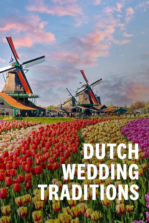 Dutch Wedding Dress, Holland Wedding, Dutch Masters Inspired Wedding, Netherlands Wedding, Dutch Wedding, Dutch Traditions, Dutch Wedding Traditions, Dutch Culture, Dutch Masters Flowers Wedding