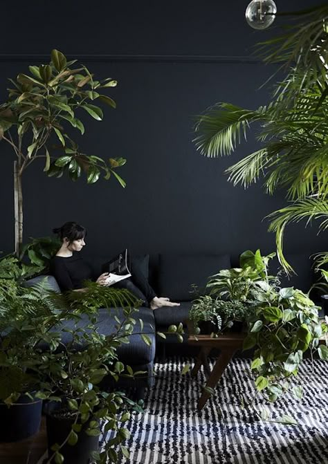 Dark Bedroom, Plant Room, Black Living Room, Black Room, Bedroom Plants, Indoor Gardens, Dark Walls, Plant Decor Indoor, Indoor Jungle