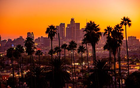 #city palm trees #sunset #building #skyscraper Los Angeles #landscape #1080P #wallpaper #hdwallpaper #desktop Beautiful Views Aesthetic, West Coast Tattoo, Where To Buy Wallpaper, Los Angeles Palm Trees, Los Angeles Sunset, Los Angeles Wallpaper, Collage Animation, California Wallpaper, California Palm Trees