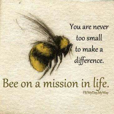 Bee Quotes, Bee Crafts, Bee Art, Bee Theme, Quotable Quotes, Bee Keeping, Make A Difference, The Words, Great Quotes