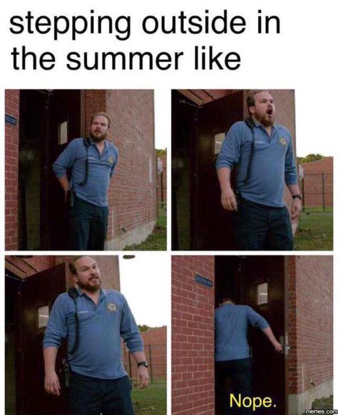 33 Funny Summer Memes That Are Bringing The Heat Humour, Louisiana, Hate Summer, Summer Humor, Orange Is The New, Memes Humor, Orange Is The New Black, Have A Laugh, Bones Funny