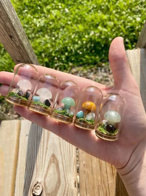 2023 Bedroom Decor, Tall Mushrooms, Mushroom Terrarium, 2023 Bedroom, Bottle Terrarium, Compact Mirror Vintage, Cottagecore Gifts, Mini Mushroom, Mushroom Crafts