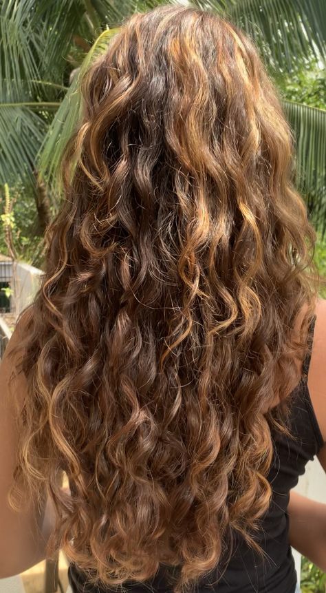 Natural Wavy Hair Highlights, Brown Curly Hair Highlights, Highlights On Wavy Hair, Outfits With Curly Hair, Wavy Summer Hair, Honey Blonde Highlights Curly Hair, Light Perm, Summer Hair Aesthetic, Brown Beach Hair