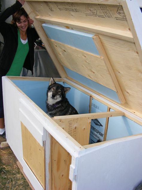 Insulated Dog House Plans Diy Insulated Dog House, Kennel Diy, Dog House Plan, Pallet Dog House, Insulated Dog House, Build A Dog House, Large Dog House, Dog House Plans, Cool Dog Houses