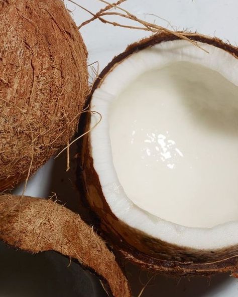 Do you know that all of our body butters contain coconut oil? Coconut oil is known for its exceptional moisturizing properties, rich in vitamins and antioxidants that nourish and hydrate the skin from within. Pamper yourself with the luscious texture and irresistible fragrance of our body butter, leaving your skin feeling soft, smooth, and rejuvenated. 🥥 Coming back soon... - #TheExecutiveSweet #TheSweetLife #SelfCareIsntSelfish #SelfCareEveryday #WellnessLifestyle #WellnessAdvocate #Holist... Coconut Milk Aesthetic, Moisturizing Aesthetic, Coconut Oil Aesthetic, Coconut Aesthetic, Coconut Oil Body, Kokum Butter, Sugar Body Scrub, Sugar Body, Pamper Yourself