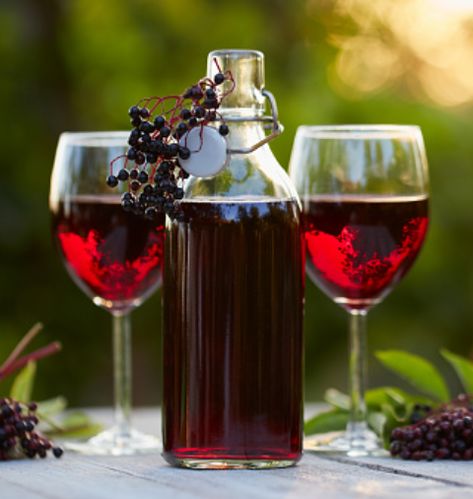 Elderberry Wine Homemade Wine Recipes, Elderberry Wine, Homemade Soda, Low Alcohol Drinks, Liqueurs Recipes, Wild Yeast, Homemade Wine, Elderberry Syrup, Bottle Corks