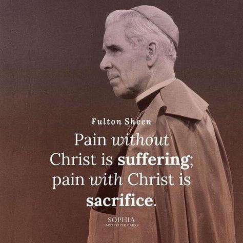 Steubenville Ohio, Fulton Sheen, Catholic Memes, Catholic Beliefs, Saint Quotes Catholic, Saint Quotes, Catholic Quotes, Catholic Prayers, The Saints