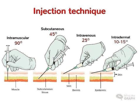 Phlebotomy Study, Nursing School Studying Cheat Sheets, Nursing School Inspiration, Medical Assistant Student, Nursing School Essential, Medical School Life, Nursing School Motivation, Basic Anatomy And Physiology, Nurse Study Notes