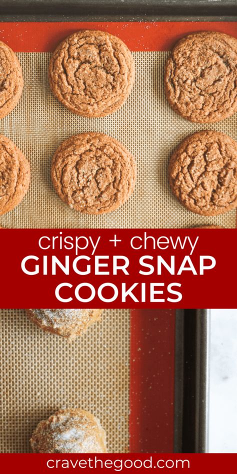 Spicy Cookies, Ginger Snap Cookies Recipe, Ginger Snaps Recipe, Chewy Ginger Cookies, Ginger Cookie Recipes, Chewy Gingerbread Cookies, Baking Hacks, Frozen Cookie Dough, Fresh Baked Cookies