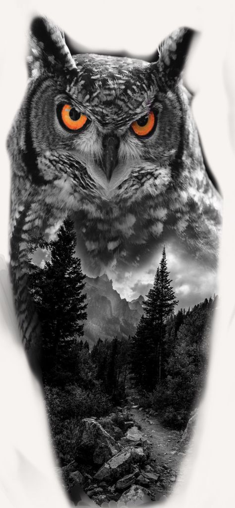 Owl Forest Tattoo Design, Realism Owl Tattoo Design, Owl Lion Tattoo, Owl Nature Tattoo, Lion And Owl Tattoo, Owl Forest Tattoo, Forrest Tattoo Designs, Owl And Wolf Tattoo, Nature Realism Tattoo