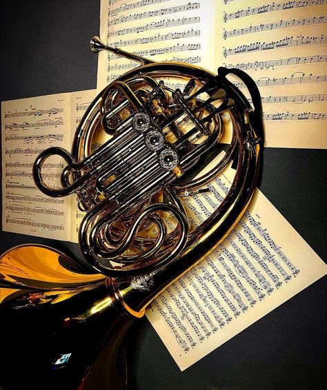 French Horn Photography, French Horn Memes, French Horn Aesthetic, Poem Aesthetic, Pretty Instruments, Horn Instrument, French Horn Music, Horn Instruments, French Horns