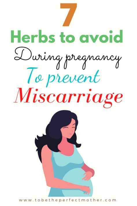 Herbs To Avoid During Pregnancy, Natural Birth Control Herbs, Early Pregnancy Diet, Holistic Pregnancy First Trimester, Healthy First Trimester, Pregnancy Trimester Chart, Early Pregnancy Exercise, Herbs For Pregnancy, Pregnancy Herbs