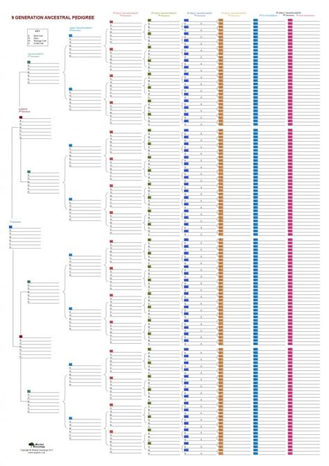 Ahnentafel chart| There are different formats that a Family Tree might take. Depending on the style of the chart that you are using, it might show five, six, seven, or even more generations. Some family tree charts get so full of information that it can be difficult to understand exactly how one ancestor relates to another one, or how either of them relate to you. Instead of using the typical, tree shaped, family tree design, try using an ahnentafel chart instead. Family Tree Charts, Printable Family Tree, Blank Family Tree Template, Genealogy Templates, Family Tree Design, Ancestry Chart, Family History Organization, Free Family Tree Template, Blank Family Tree