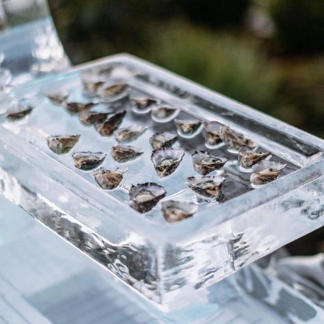 Oyster Bar Wedding, Oyster Display, Caviar Dinner, Oyster Tray, Aqua Wedding Colors, Ice Table, Ice Party, Ice Bar, Food Sculpture