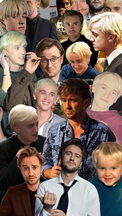 tom felton collage wallpaper draco malfoy Draco Malfoy Tom Felton, Tom Felton Aesthetic, Tom Felton Wallpaper, Wallpaper Draco Malfoy, Draco Malfoy Wallpaper, Tom Felton Draco Malfoy, Draco Harry Potter, Harry Potter Ships, Collage Wallpaper