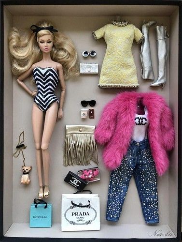 Barbie Organization, Barbie Doll Set, Barbie Sets, Barbie Dolls Diy, Barbie Fashionista Dolls, Barbie Doll Accessories, Doll Clothes Barbie, Barbie Toys, Barbie Fashionista