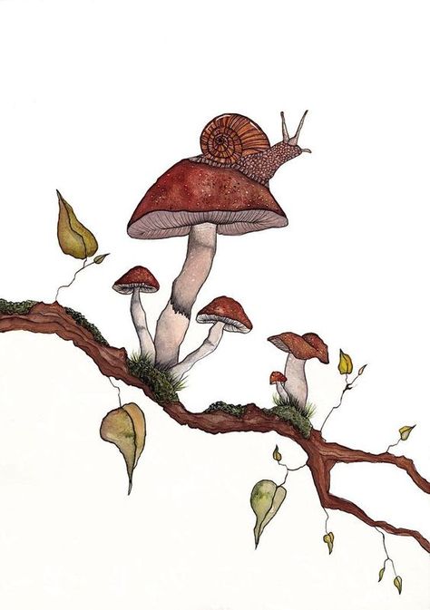 Watercolour Mushroom, Mushrooms Painting, Snail Painting, Cottagecore Drawing, Snail Drawing, Mushroom Prints, Nature Drawings, Mushroom Painting, Wrist Tattoo Designs