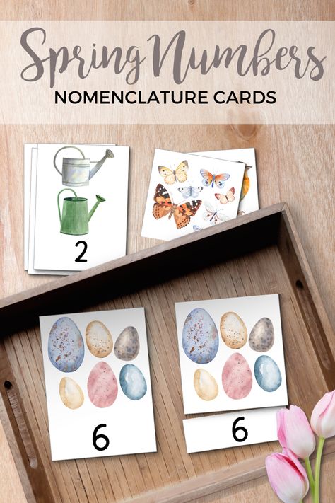 Spring/Easter number nomenclature cards! A Spring + Easter inspired activity for toddler, pre-school and kindergarten aged children. This activity is Montessori and Homeschool friendly. 🐥 This set includes 10 different card sets. 10 control cards (flash cards), 10 picture cards, and 10 number cards. ☂ These cards are a fun way for children to improve their number recognition, number quantity, one-to-one correspondence, and counting. #montessori #montessoriathome #printablesforkids #easter Spring Montessori Activities, Montessori Easter, Montessori Spring, April Themes, Spring Kids Activities, Plant Lessons, Montessori Activities Preschool, Montessori Work, Montessori Shelf