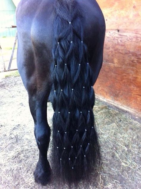 Horse Mane Braids, Horse Hair Braiding, Horse Braiding, Tail Braids, Braids Ideas, Horse Mane, Horse Costumes, Horse Tail, Barrel Horse