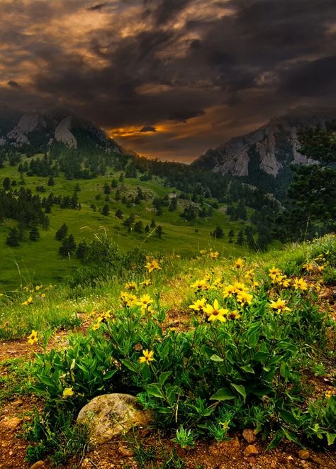 Rocky Mountains, Boulder, Colorado - by Fredrick Meling Rocky Mountain Gothic, Rocky Cliff, Flowers Background, Boulder Co, Boulder Colorado, Landscape Nature, Art Website, Rocky Mountain, Oh The Places Youll Go