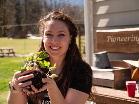 Blueberry Bush Care, Pruning Blueberry Bushes, Melissa K Norris, Garden Answer, Garden Layout Vegetable, Starting Seeds Indoors, Blueberry Bushes, Growing Tomatoes, Tomato Plants