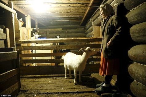 Humble existence: Local resident Lyudmila stands in a goat barn at her house in the villag... Russian Village, Goat Barn, Tiny Village, Train System, Blue Origin, Travel Trends, A Goat, Old Train, Royal Prince