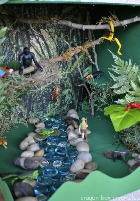 {Rainforest Sensory Bin} Amazon River Basin - to go with Jan Brett's book Rainforest Crafts, Rainforest Ecosystem, Rainforest Project, Biomes Project, Rainforest Activities, Rainforest Biome, Ecosystems Projects, Habitats Projects, Rainforest Habitat