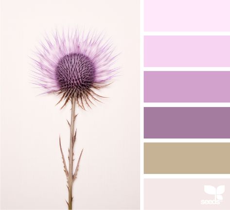 Design Seeds: Thistled Tones Inspiration Color Palettes, Colour Crush, Palette Design, Design Seeds, Color Palette Design, Spring Design, Color Chart, Color Set, Color Palettes