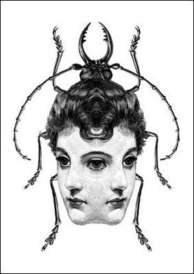 Brooklyn Ingredients: Dan Hillier. Dan Hillier, Horror Vintage, Desenho Tattoo, Insect Art, Arte Sketchbook, 그림 그리기, Dark Art, Surrealism, Art Inspo