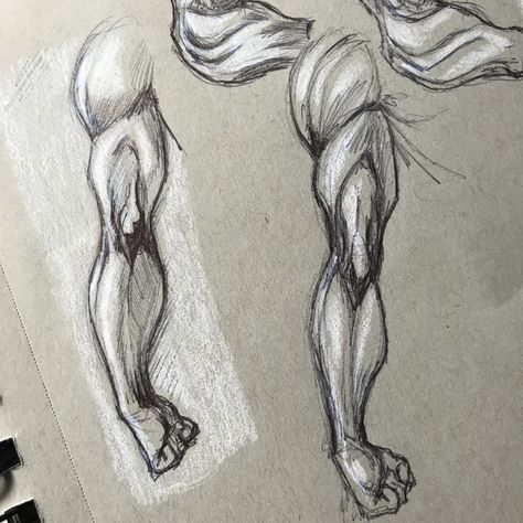 Tricep Drawing, Tricep Anatomy, Tricep Reference, Anatomy Study, Anatomy Drawing, Human Anatomy, Drawing Reference, Anatomy, Drawing Sketches