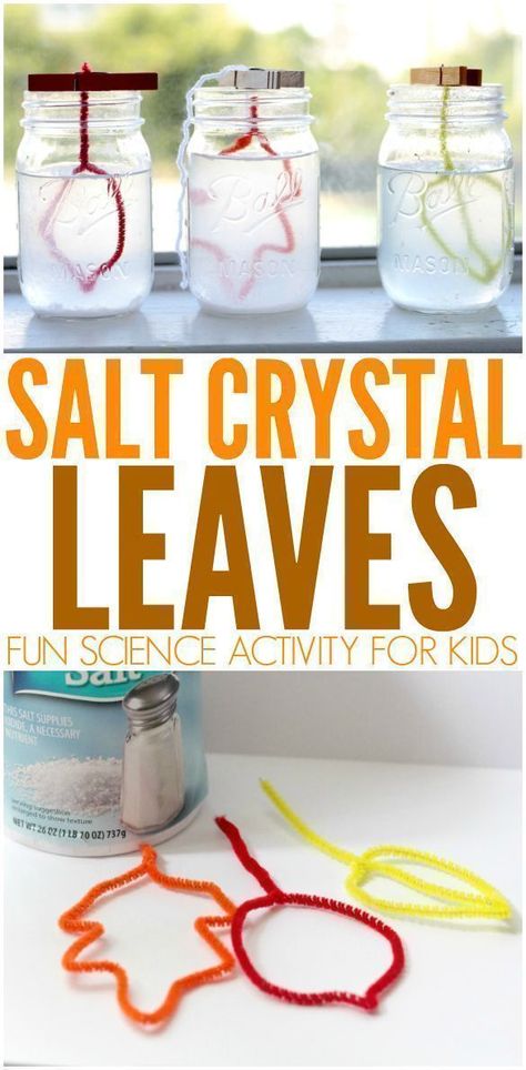 Fall Stem Activities, Stem Activity For Kids, Fall Science, Fun Stem Activities, Kid Science, Fall Stem, Science Crafts, Stem Activity, Science Activity