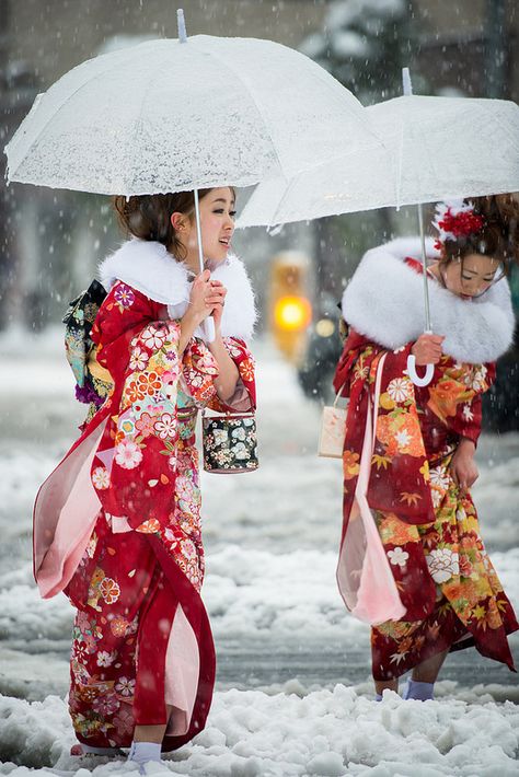 **Coming of Age day under the snow in Tokyo Clothes In Japanese, Coming Of Age Day, Look Kimono, Furisode Kimono, Memoirs Of A Geisha, Mode Kimono, Roppongi, Warm Clothes, Japan Culture