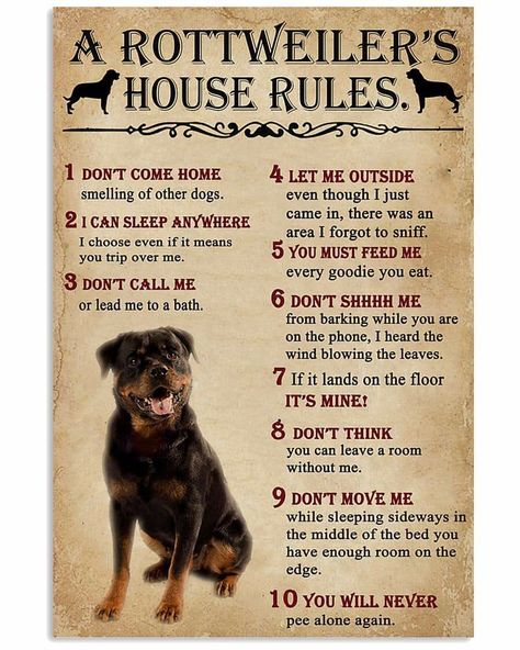 House Rules Poster, Rottweiler Quotes, Rottweiler Care, Rottweiler Facts, Rottweiler Pictures, Dog Shelters, Rottweiler Funny, Chart Tool, Rules Poster