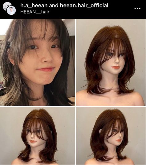 Hush Cut Hair Short, Bob Pendek, Hush Cut, Dark Green Hair, Haircut Inspo, Korean Hair Color, Selfie Pose, Easy Hairstyles For Thick Hair, Layered Haircuts For Medium Hair