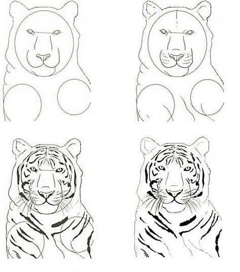 How To Draw A Tiger Step By Step, Drawing Phone Wallpaper, Tiger Drawing Easy, Easy Tiger Drawing, Tiger Aesthetic, Head Step By Step, Drawing Made Easy, Tiger Sketch, Animal Outline