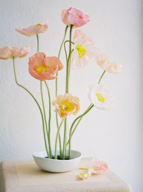 Italian Bred Icelandic Poppies — January + June — farmer florist in Clovis, CA Frog Pin Arrangement, Spring Floral Arrangements Centerpieces, Frog Flower Arrangement, Bridal Era, Ikebana Arrangement, Clovis California, Icelandic Poppies, Poppy Bouquet, Pastel Wedding Flowers