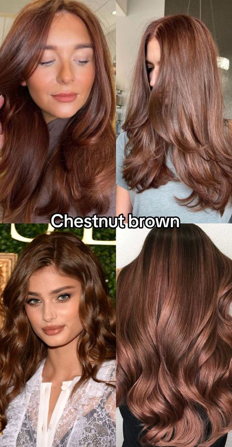 Chestnut brown hair: Understand its shades, achieving the color, matching skin tones, seasonal analysis, and frequently asked questions. Warm Tone Brown Hair, What Hair Colour Suits Me, Brown Hair On Brown Skin, Types Of Brown Hair, Tone Brown Hair, Palette Hair Color, Seasonal Analysis, Brown Hair And Eyes, Hair Color Brown Chestnut