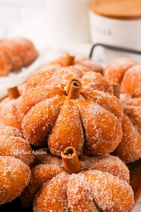 Pumpkin Donuts | Two Plaid Aprons Chocolate Pumpkin Donuts Baked, Cinnamon Pumpkin Donut Holes, Pumpkin Yeast Doughnut, Pumpkin Spice Baked Doughnut, Pumpkin Cream Filled Donut, Fall Donuts, Cinnamon Donuts, Donut Shape, Cute Baking