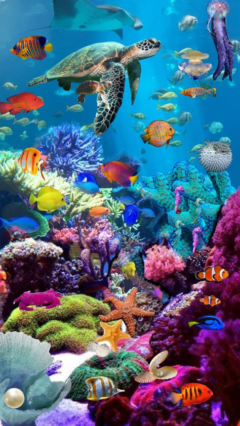 #sealife #underthesea Underwater Sea Life Aesthetic, Sea Animal Pictures Ocean Life, Under The Ocean Wallpaper, Seabed Drawing, Underwater Life Drawing, Beautiful Sea Creatures Ocean Life, Under Sea Drawing, Under Sea Wallpaper, Under Water Aesthetic