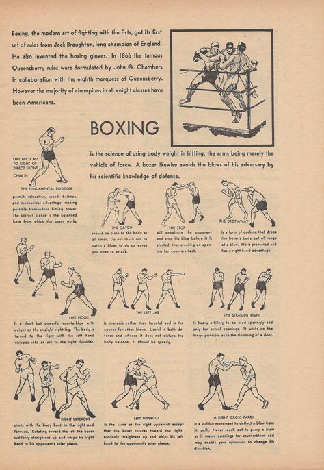 Boxing Anatomy, Sports Boys Bedroom, 1940s Illustration, Arrow Workout, Wrestling Workout, Boxer Workout, Ekko League Of Legends, Krav Maga Kids, Men Decor