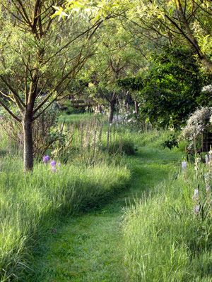 Let an area of the lawn grow wild, then create a path through the tall grass with a riding mower or weedwacker | countryliving.com Bonito, Backyard Landscaping Plans, Trees And Flowers, Creative Landscape, Beautiful Outdoor Spaces, Garden Pathway, Front Yard Garden, Landscaping Tips, Garden Landscape Design