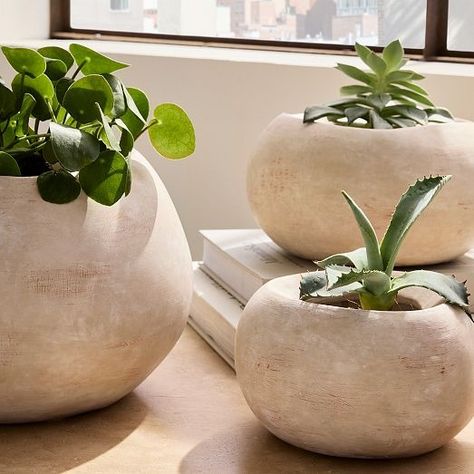 The Fall Collection | West Elm Succulent Bowls, Stone Planters, Ceramic Pots, Fall Collection, Cabins In The Woods, Fall Collections, West Elm, Plant Stand, The Fall