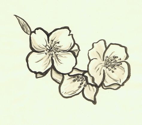 Jasmine flower Jasmine Smell, Jasmine Flower Drawing, Jasmine Drawing, Jasmine Tattoo, Wildlife Drawing, Tattoo Sonne, Filipino Tattoos, Jasmine Flowers, Hawaiian Tattoo