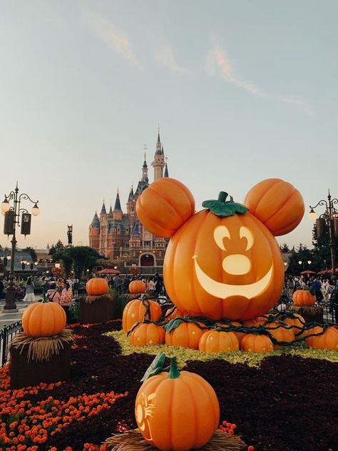 disney halloween October Widgets Aesthetic, Disney Autumn Wallpaper, Disney Fall Aesthetic, Disneyland Halloween Aesthetic, Halloween Preppy, Disney World Aesthetic, Halloween Desktop Wallpaper, Disney World Halloween, Helloween Wallpaper