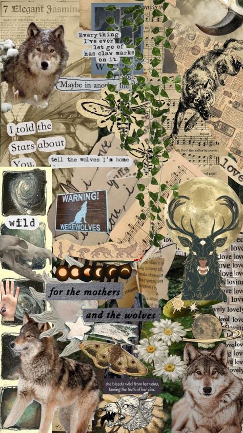 Aesthetic Therian Wallpaper, Wolf Astethic Wallpaper, Wolf Collage Wallpaper, Wolf Drawing Aesthetic, Therian Wallpaper Ipad, Wolf Therian Wallpaper, Therian Aesthetic Wallpaper, Therian Phone Wallpaper, Wolf Therian Aesthetic